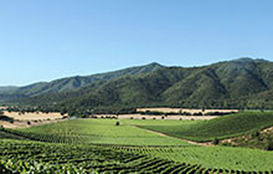 2006